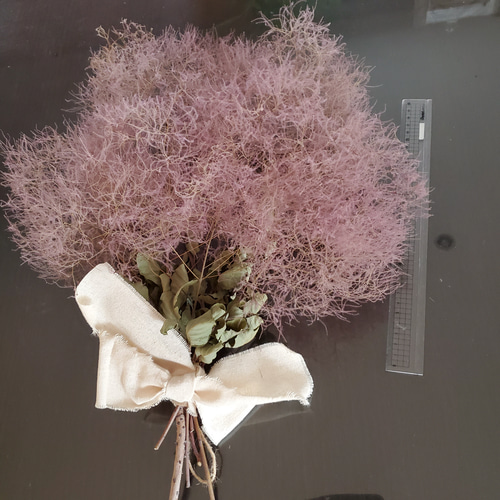 スモークツリーのスワッグ No.202 スモークツリー スワッグ ドライ