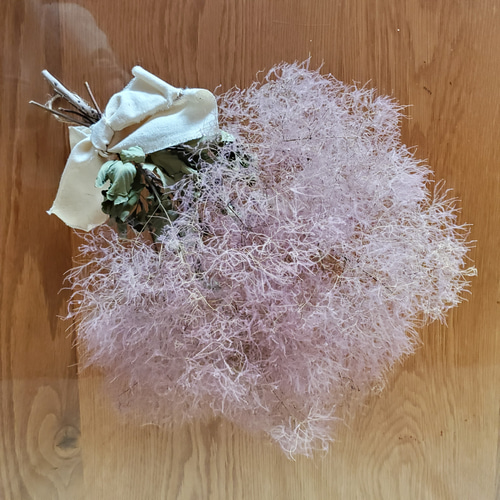 スモークツリーのスワッグ No.202 スモークツリー スワッグ ドライ