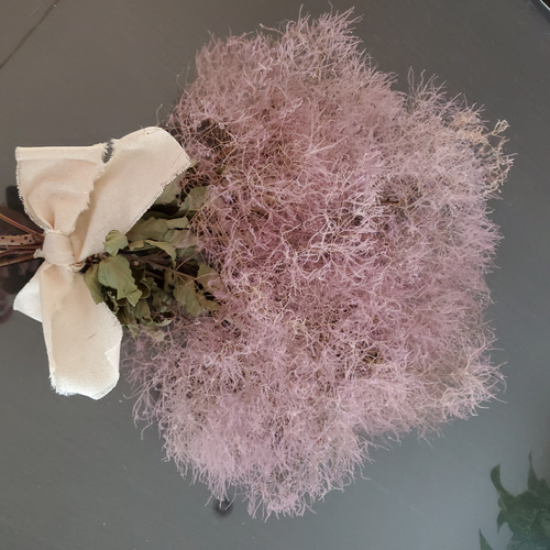 スモークツリーのスワッグ No.202 スモークツリー スワッグ ドライ