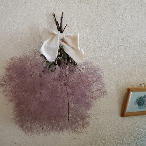 スモークツリーのスワッグ No.202 スモークツリー スワッグ ドライ