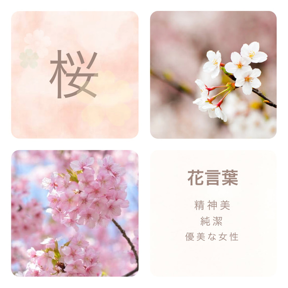 【JORIE】CORON　〜桜〜　天然石2連ピアス　イヤリング　ピンクカルセドニー×アップルグリーンカルセドニー 3枚目の画像