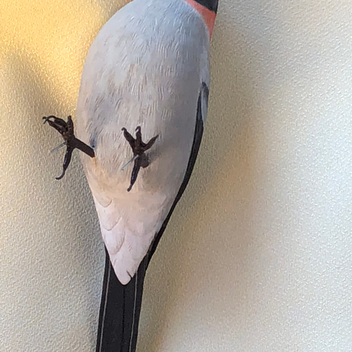 バードカービング(ウソ)