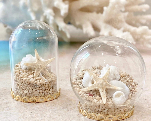 シェルMIXミニガラスドーム ゴールド（丸型/筒型） SHELOOMオリジナル