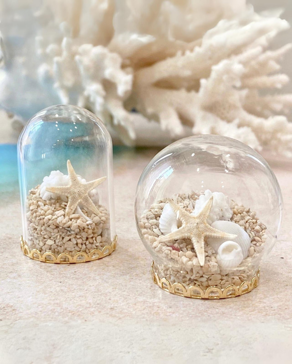 シェルMIXミニガラスドーム ゴールド（丸型/筒型） SHELOOMオリジナル