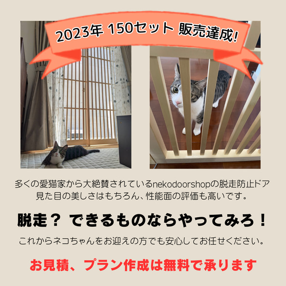 猫ちゃん用脱走防止ドア　premium 3枚目の画像