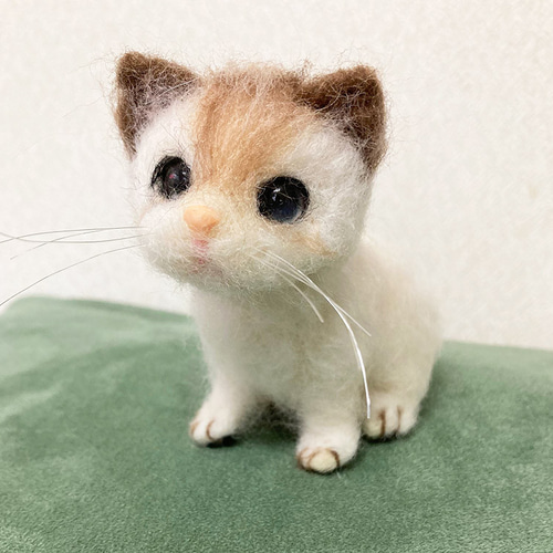 小さなマンチカン＊羊毛フェルト＊猫＊子猫 羊毛フェルト moco3871