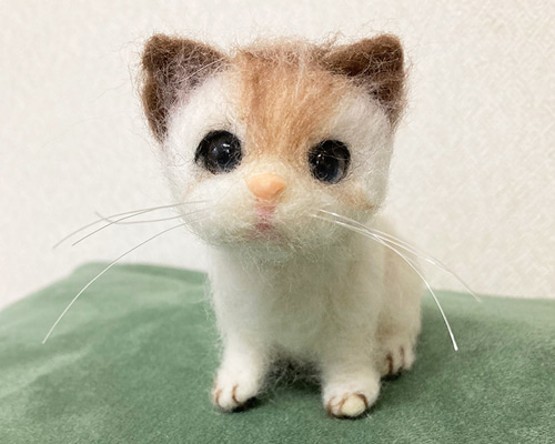 3b74110bb7f36c20e6404a7f90120e