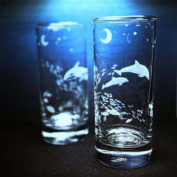 「月夜の海」 イルカ・シャチ ペアグラス 7枚目の画像