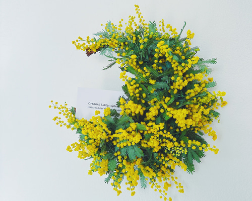 Mimosa】14花咲きミモザの三日月リース2024 crescent wreath リース