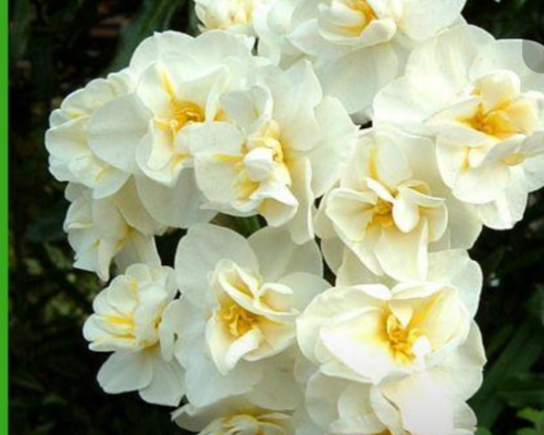 4a84e5e0914ba4bec595becb007b84