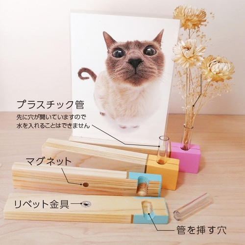 木製 ポストカードスタンド パステル（ドライフラワースタンド付き