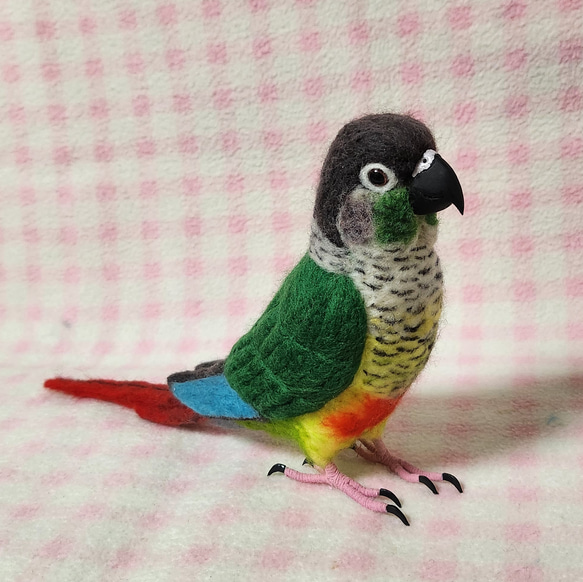 ほぼライフサイズ　ホオミドリアカオウロコインコ ver.2  Green-cheeked Conure 羊毛 受注作成 2枚目の画像