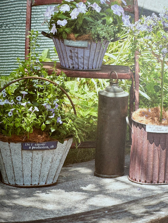 《可愛いハンギングアンティーク鉢 》ドゥラモーハング 観葉植物 多肉植物 お花の寄せ植え ブリキ缶 アンティーク 512 2枚目の画像