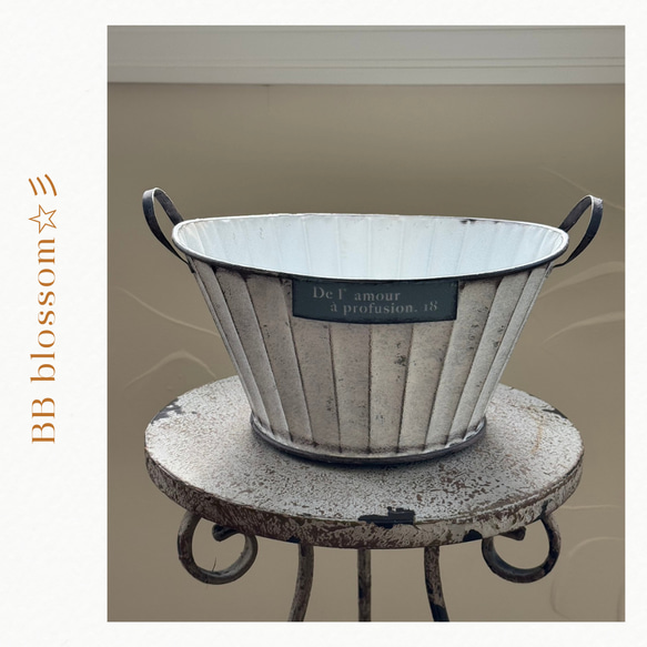 可愛いブリキアンティーク鉢 》ドゥラモーラウンド 観葉植物 多肉植物