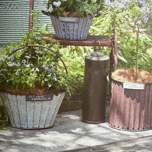 可愛いブリキアンティーク鉢 》ドゥラモーラウンド 観葉植物 多肉植物
