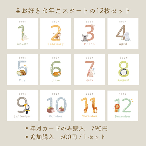 送料無料】◼︎animal マンスリーカード 月齢カード ましかく 送料無料】◼︎animal マンスリーカード 月齢カード ましかく
