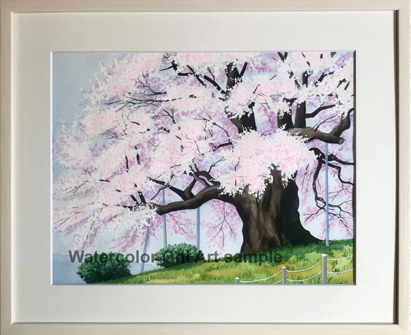 醍醐の桜」透明水彩画 原画 風景画 額縁付 F6サイズ 絵画 Oni 通販 ...