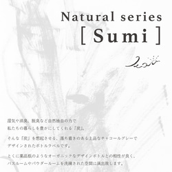 [ 耐水 ]ランドリーラベルシール　洗剤ボトルラベル ( 6点SET ) - Nature series「sumi2」 4枚目の画像