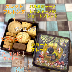 発酵バタークッキー　くまときのこ缶　焼き菓子　ギフト　プレゼント　贈答　クッキー缶　スイーツ　ホワイトデー 5枚目の画像