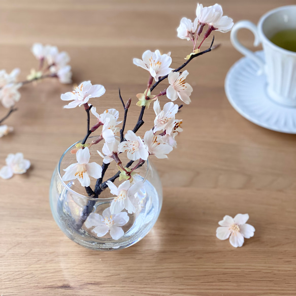本物みたいな一枝の桜♪を水ジェルに生けた【お手入れ要らず】アート