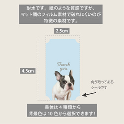 お名前耐水シール　うちの子画像で作るシール50枚セミオーダー（四角形）　ペット　名入れ　犬　猫　ギフト　印刷会社で印刷 7枚目の画像