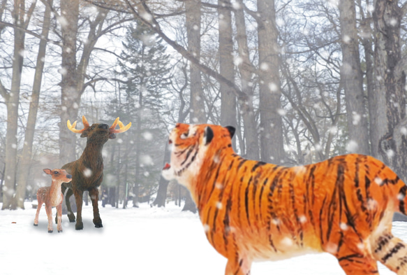 ポストカード5枚セット　冬の動物たち編 2枚目の画像