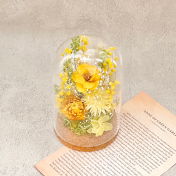 『 yellow × mimosa 』ガラスドーム アレンジ /ミモザ / ドライフラワー / 選べるメッセージタグ付き 1枚目の画像