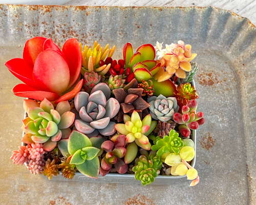 9139732db6e58b7b7cc5dae9fbd076