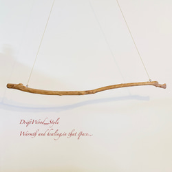 流木インテリア うねりを描く無骨な大型流木のハンガーラック 北欧 衣装掛け ハンギング 吊り下げ ハンガーポール N9 7枚目の画像