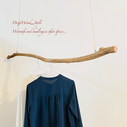 流木インテリア うねりを描く無骨な大型流木のハンガーラック 北欧 衣装掛け ハンギング 吊り下げ ハンガーポール N9 5枚目の画像