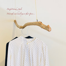 流木インテリア うねりを描く無骨な大型流木のハンガーラック 北欧 衣装掛け ハンギング 吊り下げ ハンガーポール N9 3枚目の画像
