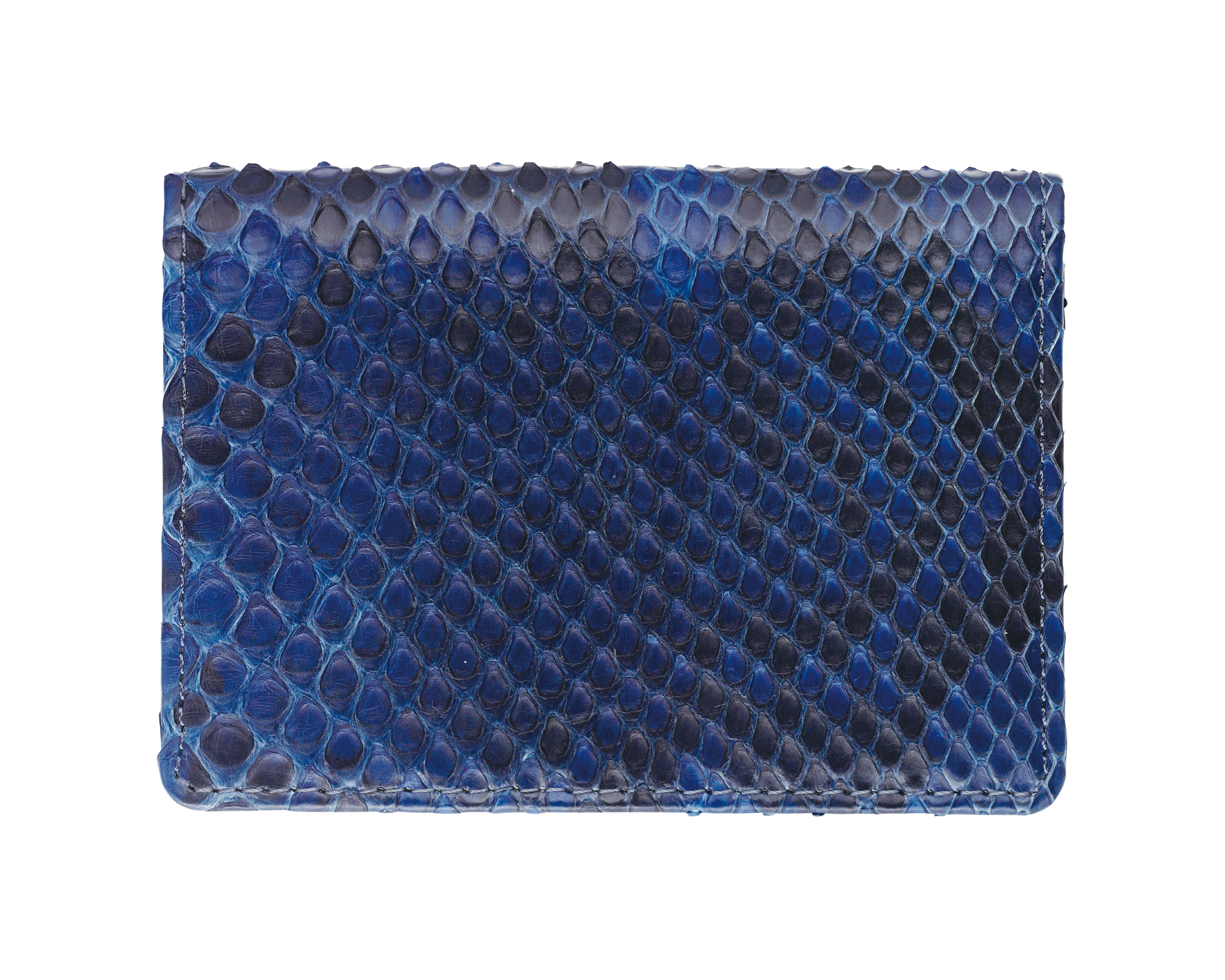藍染パイソン「PYTHON BLUE」カードホルダー　フロントカット