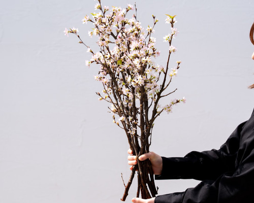 啓翁桜｜Mサイズ【単品】※最短発送 スワッグ Sekibokka 通販