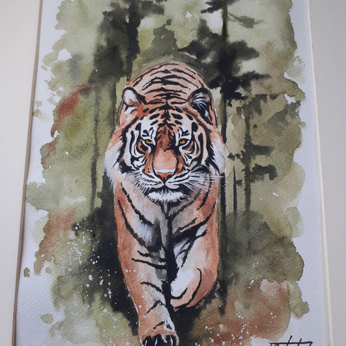 水彩画 森のタイガー 絵画 makochin 通販｜Creema(クリーマ) 17198040