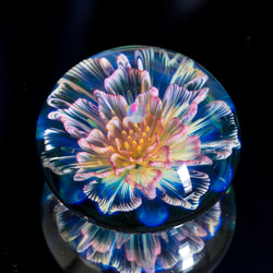月の花 ボロシリケイトガラス ペーパーウェイト mfm7 5枚目の画像