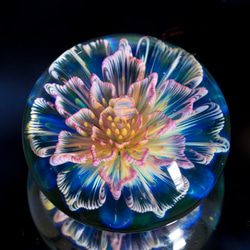 月の花 ボロシリケイトガラス ペーパーウェイト mfm7 4枚目の画像