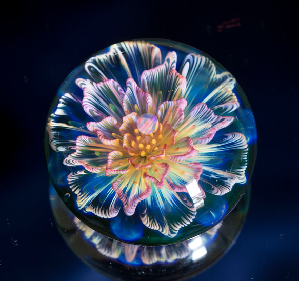月の花 ボロシリケイトガラス ペーパーウェイト mfm7 7枚目の画像