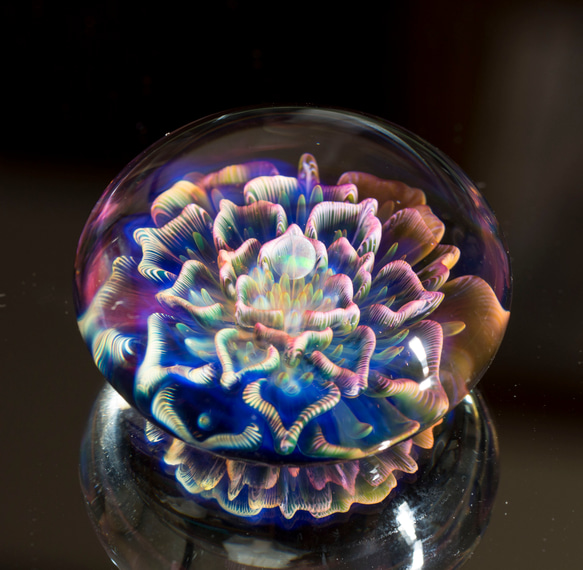 月の花 ボロシリケイトガラス ペーパーウェイト mfm9 月の花 ボロシリケイトガラス be