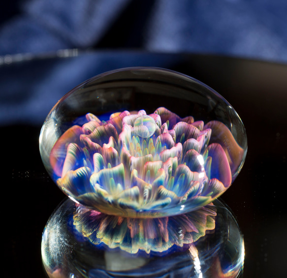 月の花 ボロシリケイトガラス ペーパーウェイト mfm9 月の花 ボロシリケイトガラス be