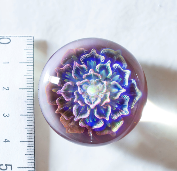 月の花 ボロシリケイトガラス ペーパーウェイト mfm9 月の花 ボロシリケイトガラス be