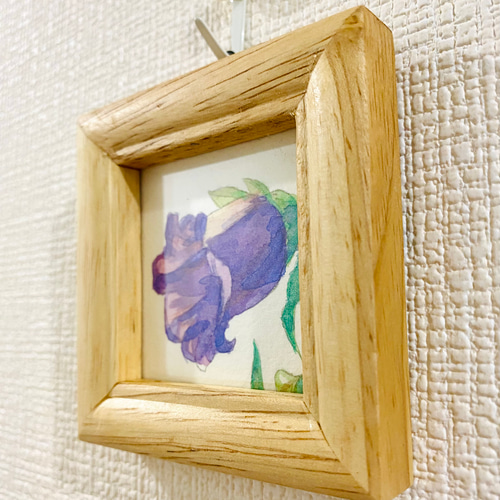 カラーとツリガネソウ原画