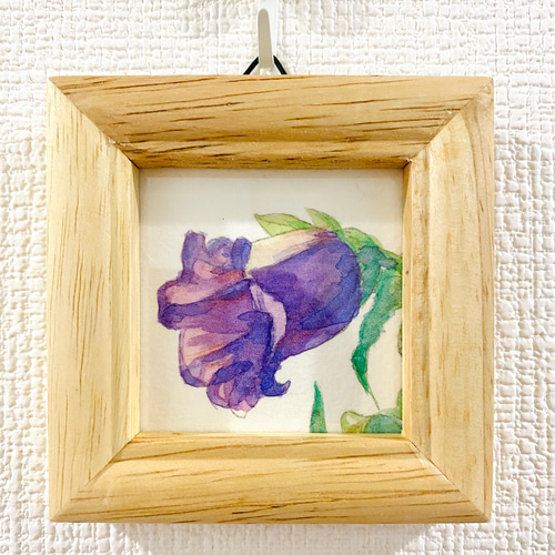 カラーとツリガネソウ原画