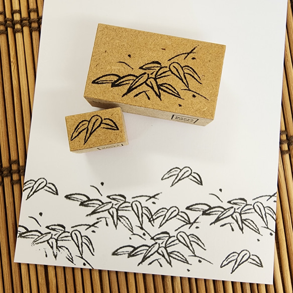  第4張的照片