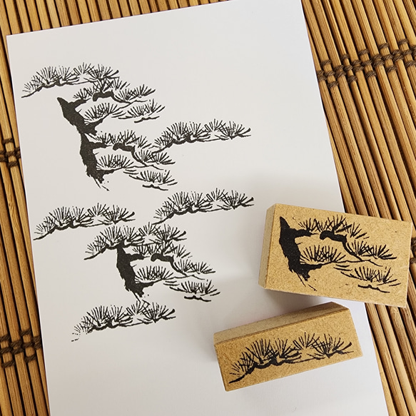  第3張的照片