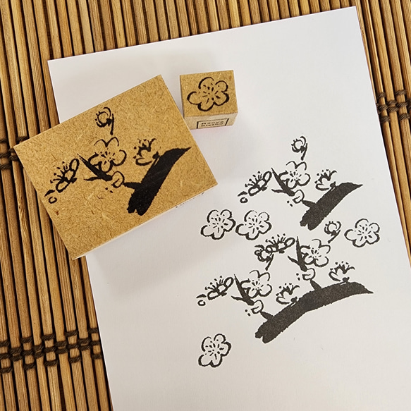  第5張的照片