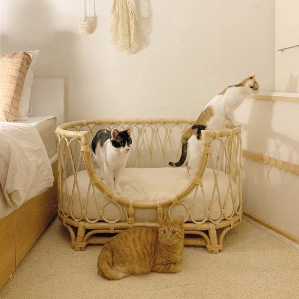 高級天然藤　手編みラタンベッド 北欧風犬用ベッド 猫用ベッド 4枚目の画像
