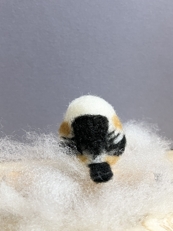 シマエナガちゃん　羊毛フェルト 4枚目の画像