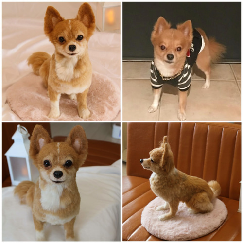 愛犬さんのオーダー》羊毛フェルト オーダー 羊毛フェルト うちの子