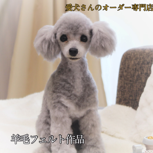 愛犬さんのオーダー》羊毛フェルト オーダー 羊毛フェルト うちの子