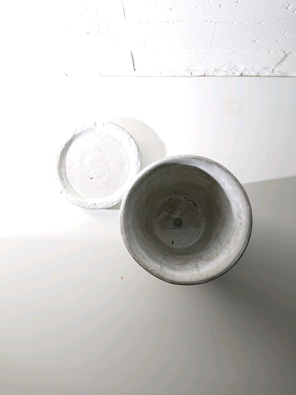 ●数量限定● ”シレネ　ユニフローラ　バリエガータ　アッシュグレー鉢/受け皿セット"　観葉植物　インテリア　おしゃれ 6枚目の画像